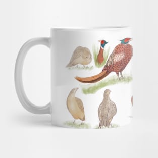 Wild british Pheasant  studies Mug